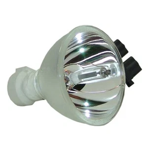 PLUS 000-049 Phoenix Projector Bare Lamp - Picture 1 of 10