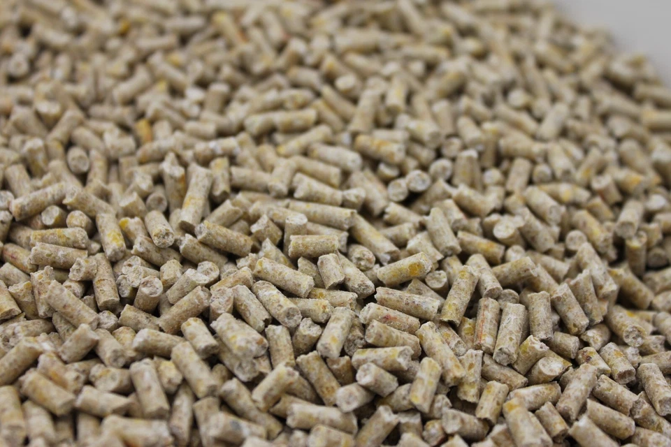 Legekorn 25 kg Hühnerfutter Legehennenfutter Legemehl gepresst 3mm - Bild 1 von 1