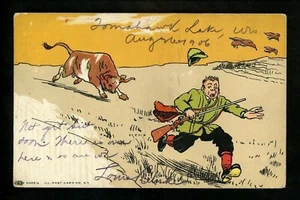 Guns / Hunting postcard comic bull Illustrated PC Co. 5002/5 Vintage - Picture 1 of 2