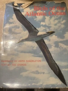 Birds of the Atlantic Ocean Keith Shackleton Ted Stokes 1968 - Bild 1 von 7