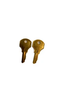 2X CAT 45 Keys for EST Fire Alarms - Picture 1 of 1