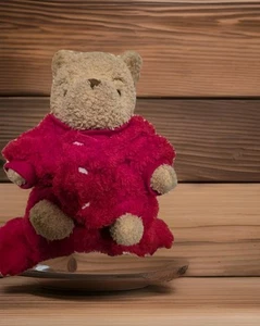 BULUO PUP Fuzzy Fleece Suit Valentine Red Pooch Apparel Toy Breed DarlingCore N - Picture 1 of 10