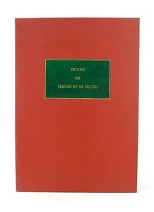 Etudes De Fleurs Et De Fruits - Portfolio - 11 Plates - Francisque Noel & Cie - Picture 1 of 6