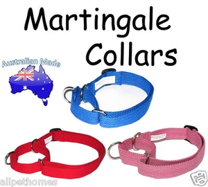 Obedience Half Check Collar - Utility Dog Collar Martingale ( 4 sizes) 7 colours - Picture 1 of 25