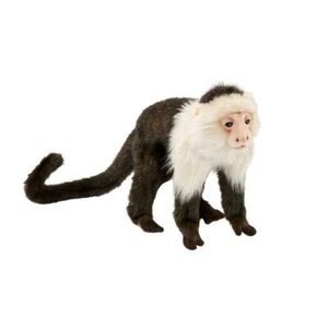 Juguete de felpa suave Hansa Capuchino mono 7"/18 cm de altura mono realista juguete suave - Imagen 1 de 3