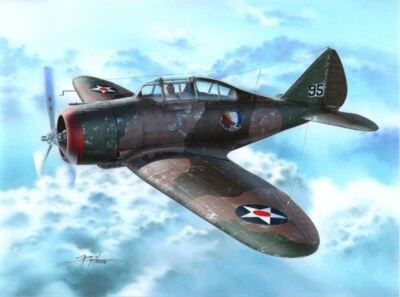 MW22 SPECIAL HOBBY SH72262 P-35 WAR GAMES & WAR TRAINING FLUGZEUG 1/72