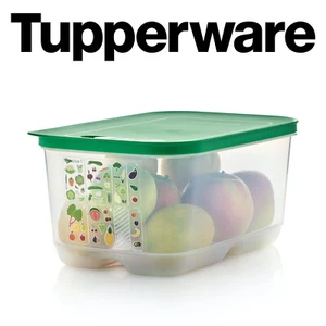 TUPPERWARE KlimaOase 1x4,4L Grün KlimaKönig PrimaKlima