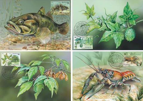 Belarus 2023 Mi BY 1504-7 - Invasive species flora fauna - 4x maxicards Cover