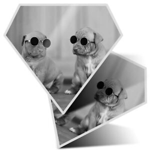 2 x Diamond Stickers 7.5cm BW - Cute Puppies in Sunglasses Dog  #43828