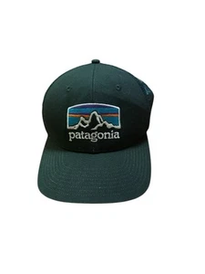 Patagonia Trucker Hat Snapback Mesh Back NetPlus Green Embroidered Logo Cap - Picture 1 of 4