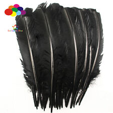 10-100pcs/lot Pure Black 10-12inch Turkey Quill Feathers for Fashion Decorations