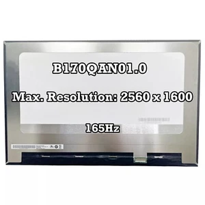 B170QAN01.0 LCD Screen LCD Display Panel 16:10 2560x1600 IPS 165Hz New - Picture 1 of 2