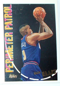 CARTE NBA BASKET BALL 1995 PLAYER CARDS DALE ELLIS (307) - Imagen 1 de 1