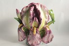 Vase barbotine Iris Massier Art Nouveau (70343)