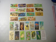 Brooke Bond cards Incredible Creatures (Sheen Lane) 29/40 variable condition