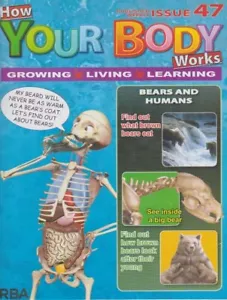 How your body works-issue 47-BEARS AND HUMANS. - Picture 1 of 3