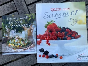 2 Abnehmwelt Bücher Kleines Buch des Sommers & extra einfache Sommertage - Bild 1 von 9