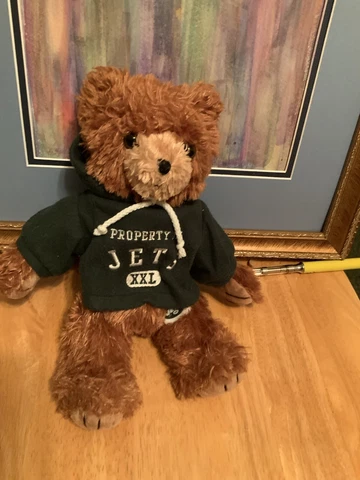Vintage New York Jets Officially Licensed NFL Good Stuff 9’’ Stuffed Teddy Bear Cover
