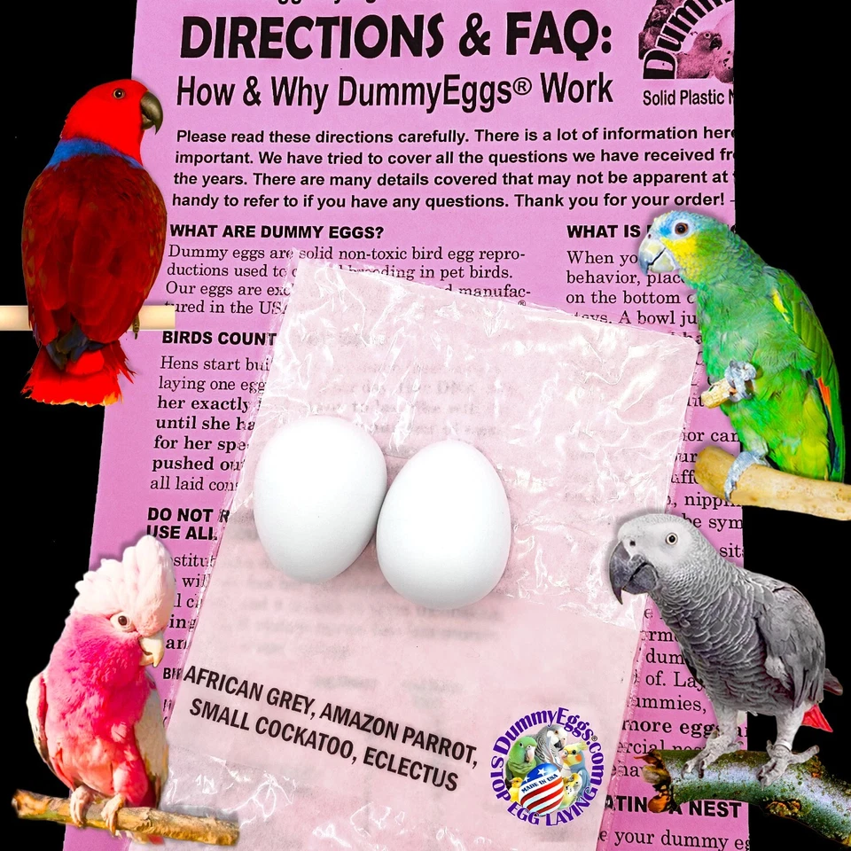 DUMMYEGGS - SINCE 2006 - NOW ON EBAY! Dummy Eggs PLASTIC MED PARROT BIRD EGGS STOP LAYING African Gray Amazon Eclectus