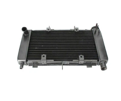 Refrigerador radiador de refrigeración de aluminio para motocicleta Yamaha FZ600 FZ6 FZ6N 2004-2006 Foto 1 de 4