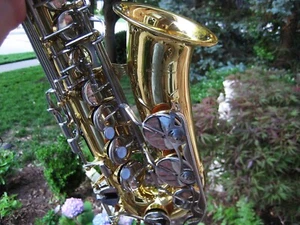 Shop Adjusted Yamaha Altsaxophon mit Zubehör Japan * Pro Otto Link Mthpc - Bild 1 von 11