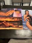 A Lot Of Three Vintage Sports Illustrated Swimsuit Posters