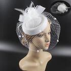 Women Fascinator Hat Pillbox Hat with Veil Wedding Party Headpiece Retro 20s 50s