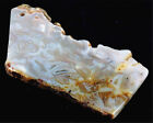 R26194 60 x 27 x 3 mm dalle/tranche pendentif perle dalle en dentelle naturelle Mexique