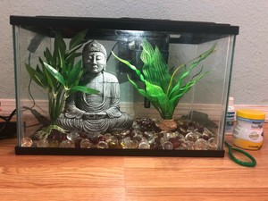 aquarium decorations for sale