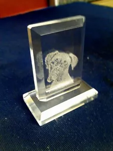 PERSONALIZED MINI LASER PHOTO CRYSTAL GIFT GRANDMA -DAD FRIENDS KIDS 2D W - Picture 1 of 7