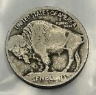 1913 5C Type 1 Buffalo Nickel Lowball Perfect Coin For A Type Set US Nickel -zm
