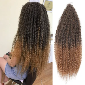 18/28" Afro Kinky Curly Crochet Hair for Women Brazilian Braids Hair Extensions - Picture 1 of 27