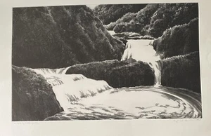 April Gornik (amerikanisch geb. 1953) Kaskadender Wasserfall, signierte Softground Radierung - Bild 1 von 10