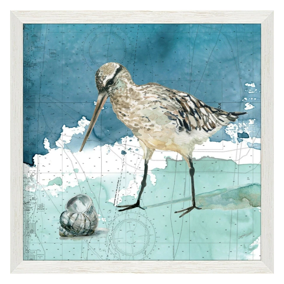 Arte de parede Sandpiper quadro de pássaro concha do mar emoldurado praia costeira decoração náutica  - Imagem 1 de 1