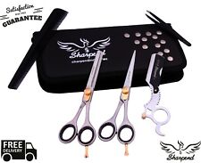 6 Inch Professional Hair Cutting Scissors Thinner Razor Set Kit Barber Salon
