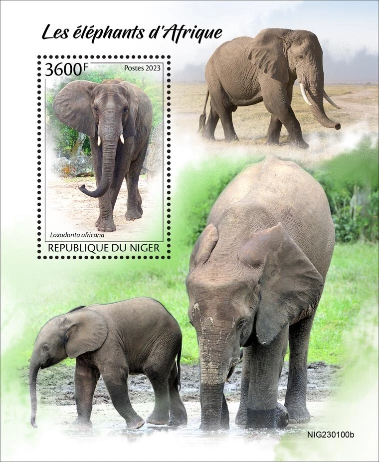 African Elephants MNH Stamps 2023 Niger S/S - Image 1 of 1