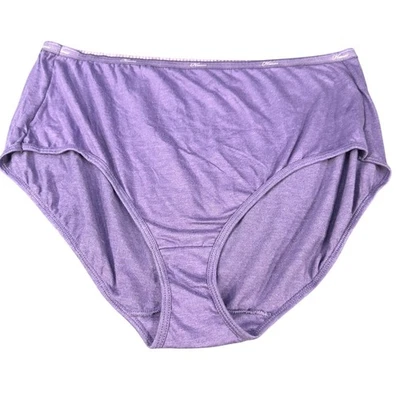 Hanes Womens Size 12 Panty Brief Full Coverage Purple New Without Tags - Image 1 of 4