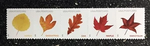 2025USA Postcard Forever Rate Vibrant Leaves - Strip of 5 From Sheet Mint - Picture 1 of 1