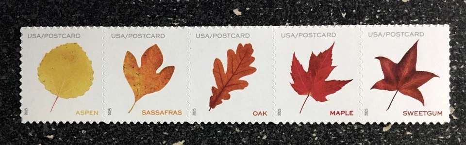 2025USA #5966-5970a Postcard Rate Vibrant Leaves - Strip of 5 From Sheet  mint - Image 1 of 1