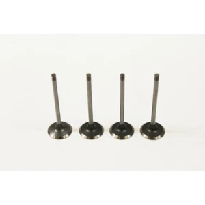 Renault 1.5 K9K DCi Set of 4 Inlet Valves - Picture 1 of 1