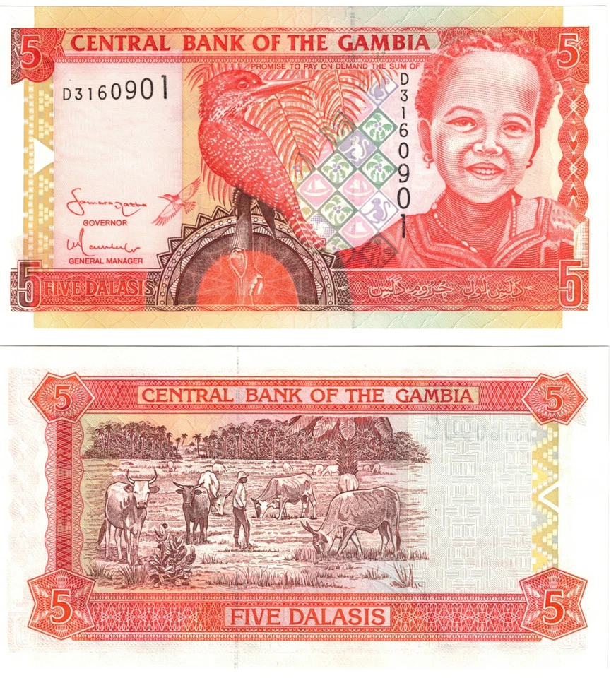2005 Gambia  Banknote P20 c 5 Dalasis UNC - Image 1 of 1