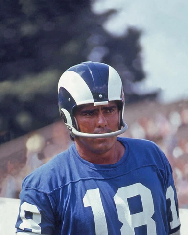 Los Angeles Rams ROMAN GABRIEL 8x10 Photo NFL Football Print Poster Cover