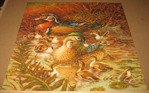 Springbok 500 Piece Family Outing Wood Duck Puzzle Complete PZL2109 - Picture 1 of 4