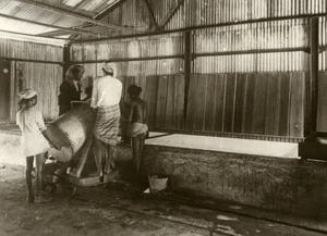 Singapore Leather Manufacture Workers Old Amateur Photo 1930 - Imagen 1 de 3
