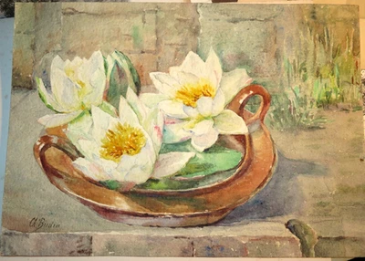Alice BUDIN XIX-XX DESSIN AQUARELLE NATURE MORTE NENUPHAR FLEURS BOTANIQUE 1900 - Photo 1/4