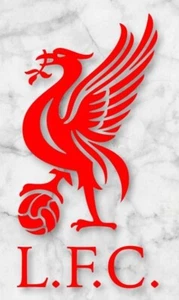 Liverpool Liver Bird Vinyl Decal Car Van Window Door Laptop - Picture 1 of 1