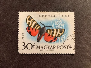 HUNGARY MAGYAR POSTA 1959 BUTTERFLIES 30F ARCTIA HEBE - USED - Picture 1 of 1