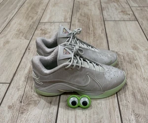 Nike LeBron XXII 22 Dunkman Light Bone Pearl Vapor Green NEU Schuhe Herren Größe 10 - Bild 1 von 8