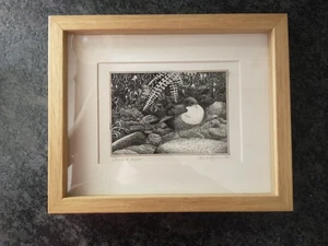 Small Original Pen & Ink Drawing of a 'Dovedale Dipper' by Colin Wilkinson - Picture 1 of 2