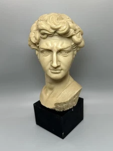 Hard Resin Very Heavy Signed Bust Of David Michelangelo Beige On Wooden Stand - Picture 1 of 20